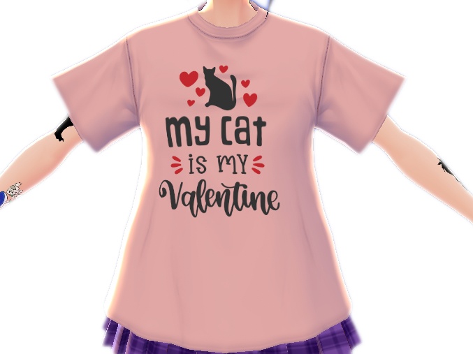 My Cat is my Valentine 3 piece VROID textures
