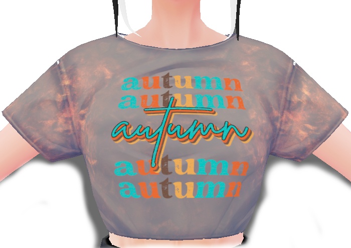 AUTUMN multi-word 3 piece VROID TEXTURES