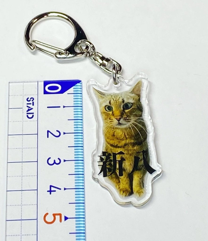 新八キーホルダー①