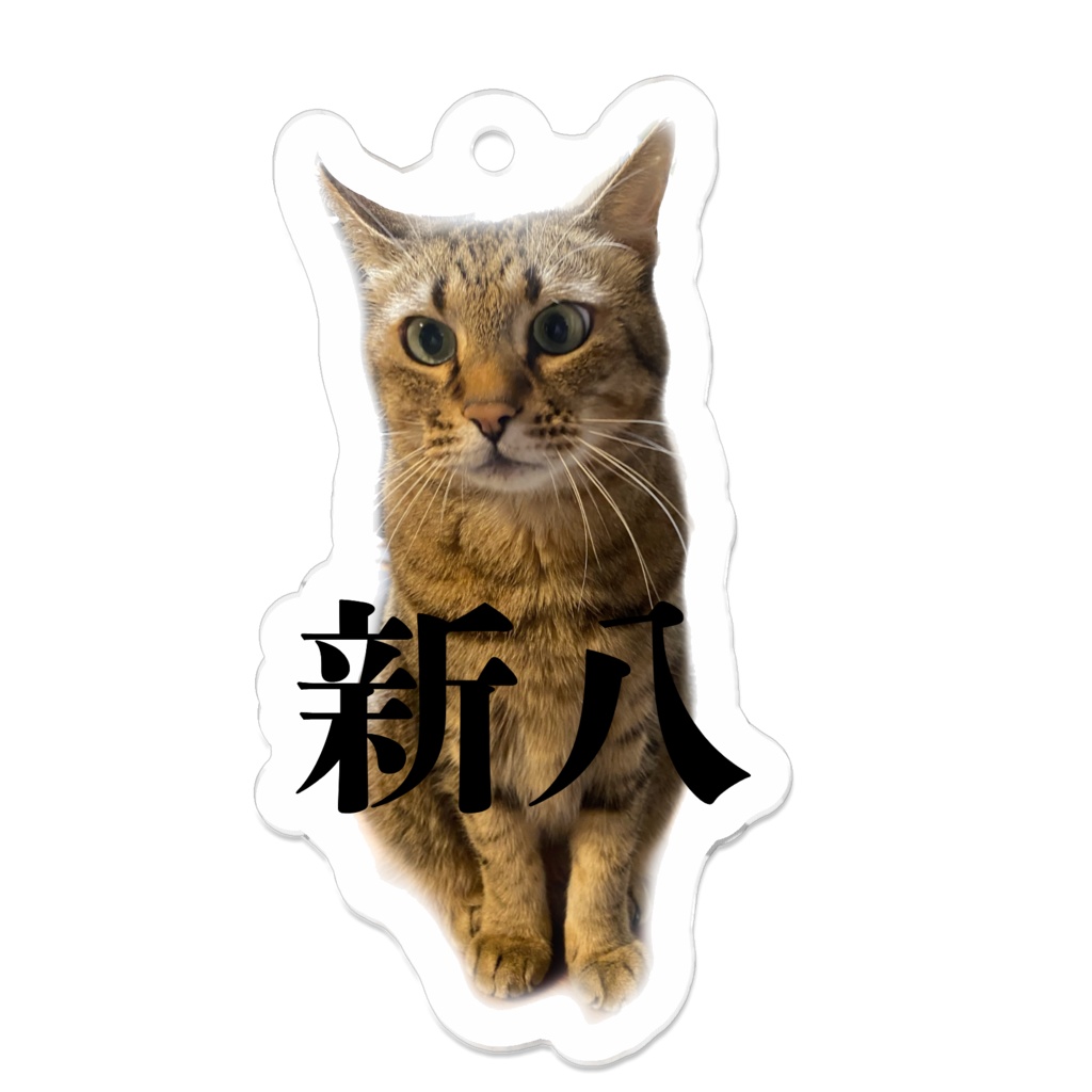 新八キーホルダー①