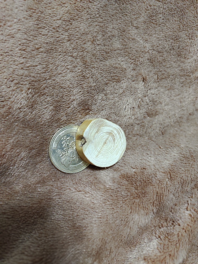 狼と霞月の輪切り流木