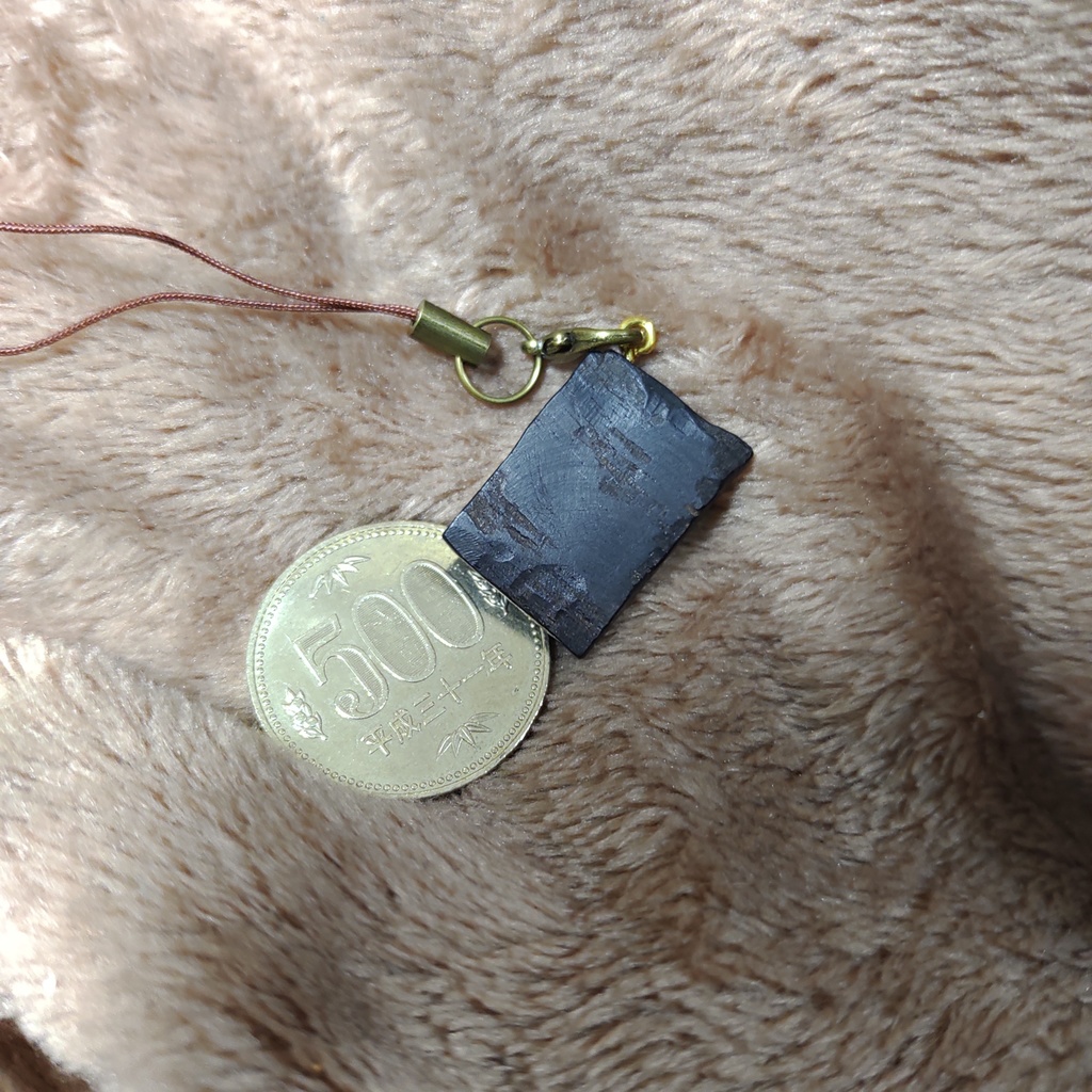 疑似チョコの欠片(アフリカ黒檀)