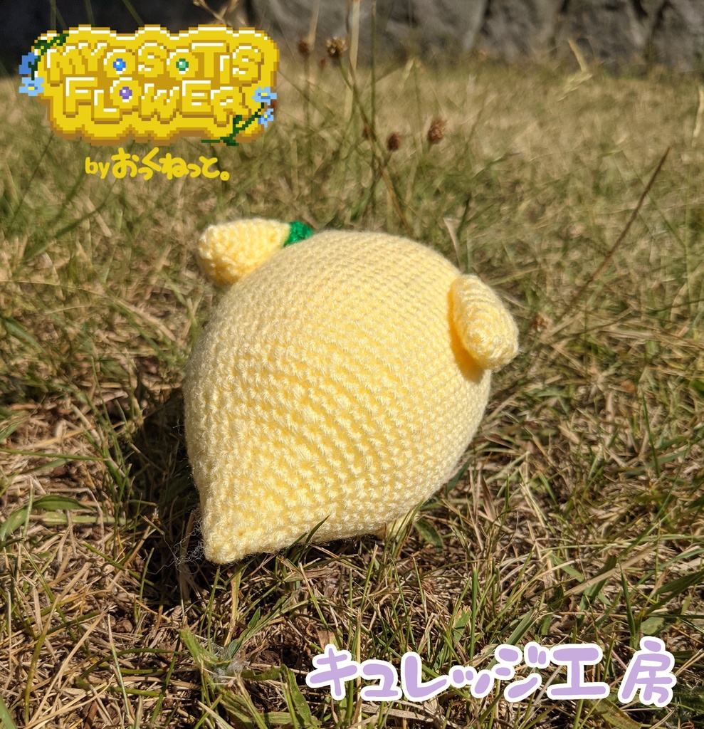 【受注生産】"きいろいあのこ"のあみぐるみ【ミオソティスの花束】