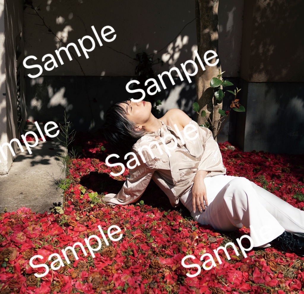 二宮郁 1st 写真集『キリトリ線』