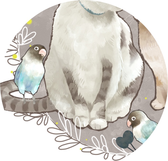 ねこちゃんと鳥