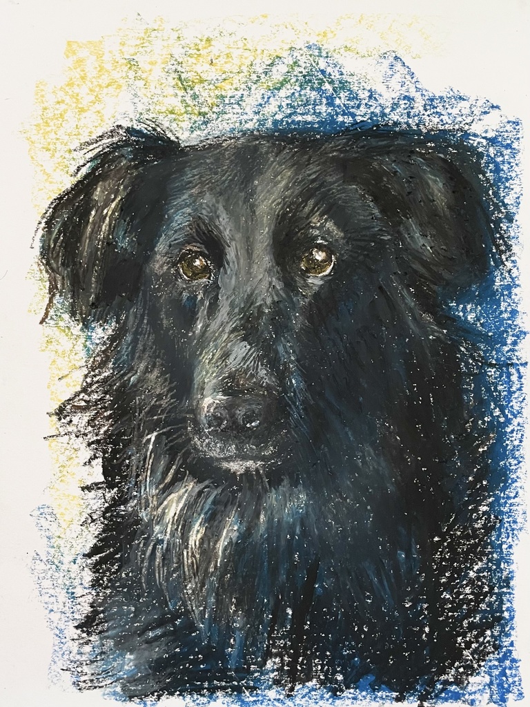 ペットの似顔絵