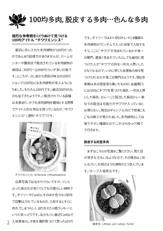 たにかつ!
