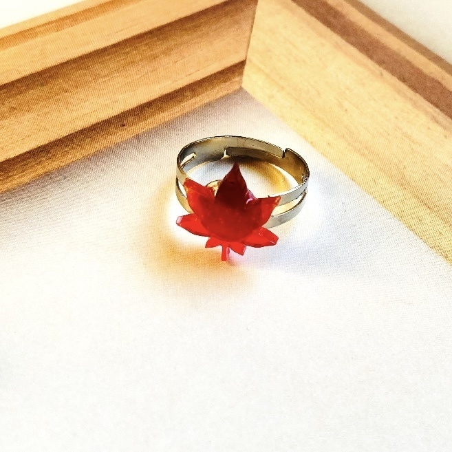 ✨ひらり1枚、紅葉添え🍁