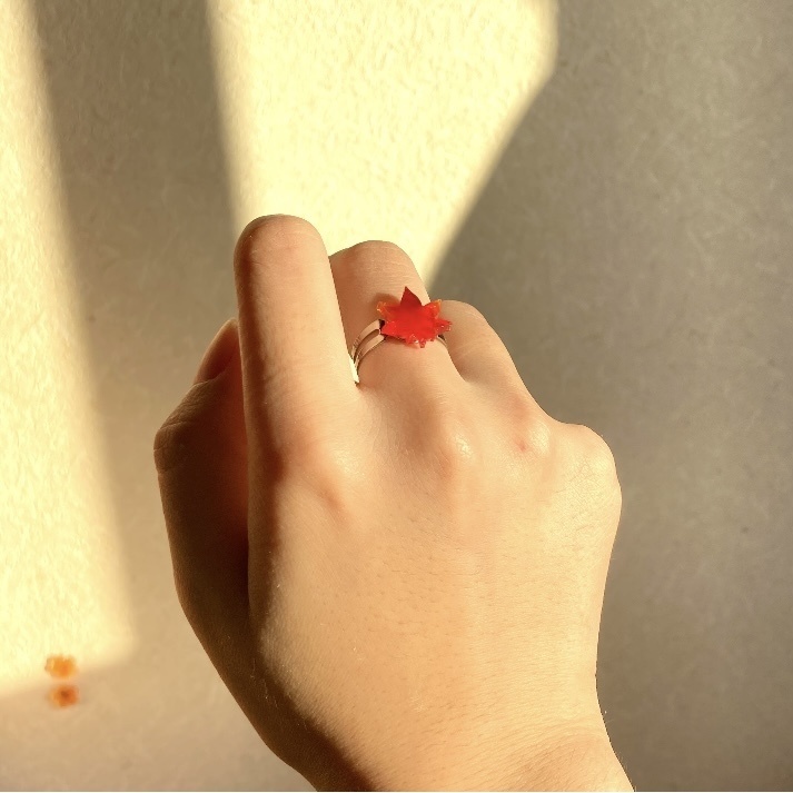 ✨ひらり1枚、紅葉添え🍁