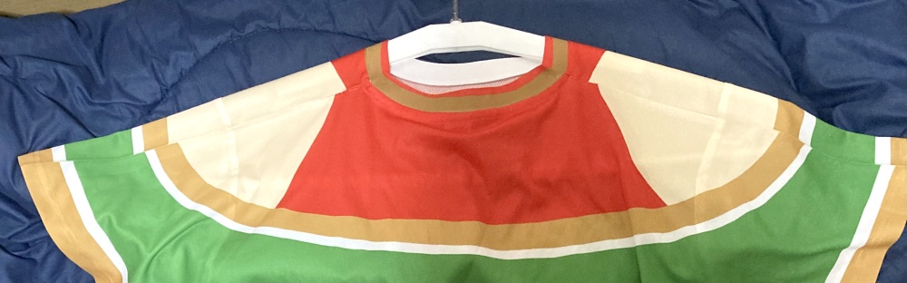 シーナの謎服Tシャツ