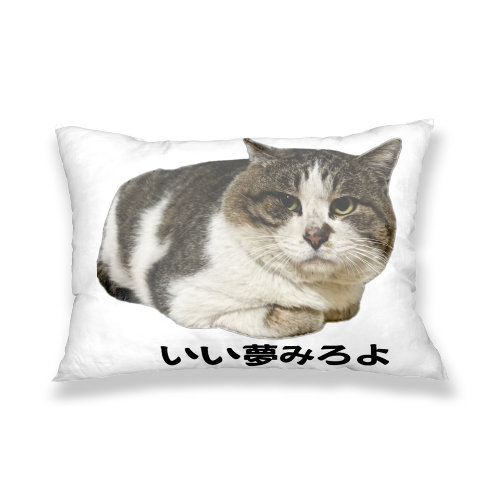 ぶう太郎いい夢みろよカバー