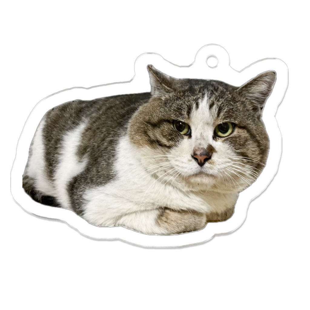 ぶう太郎チャリティーキーホルダー