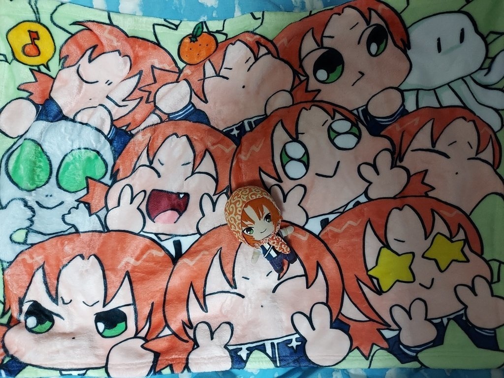 宗とレオのブランケット