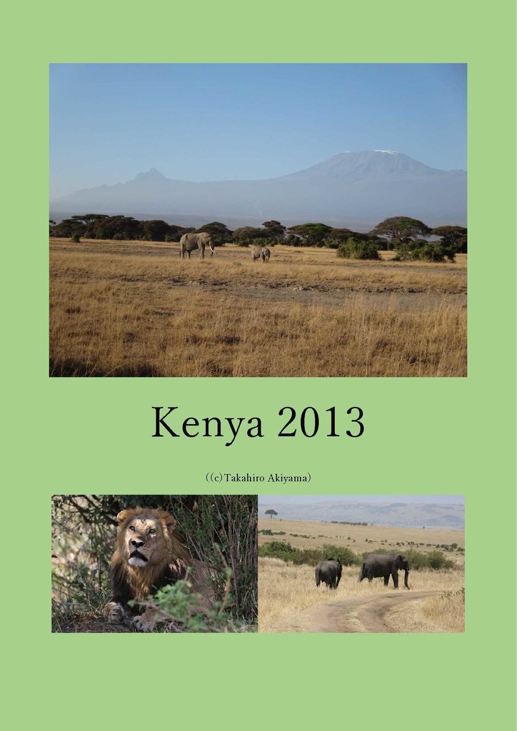 Kenya2013