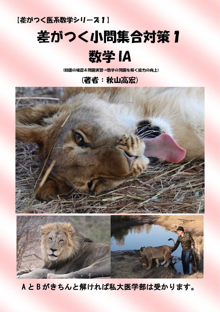 差がつく小問集合１数学IA