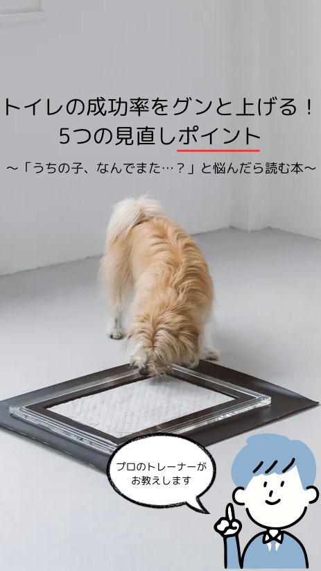 トイレの成功率をグンと上げる!5つの見直しポイント🐾|やさしいトイレトレーニング入門PDF 1章〜3章