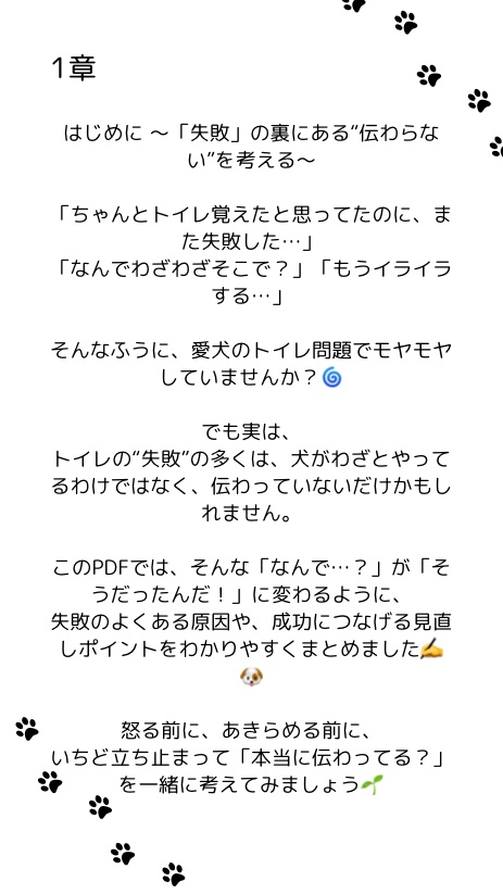 トイレの成功率をグンと上げる!5つの見直しポイント🐾|やさしいトイレトレーニング入門PDF 4〜まとめ(チェックリストなし)