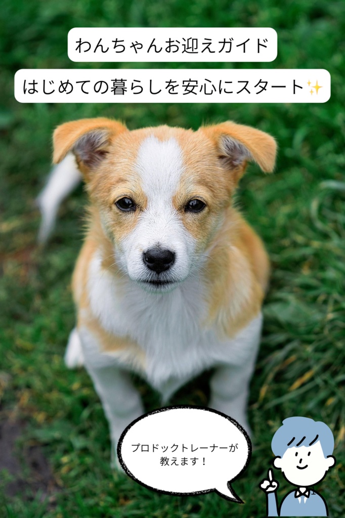 「わんこのお迎えガイド」 はじめての暮らしを安心にスタート✨
