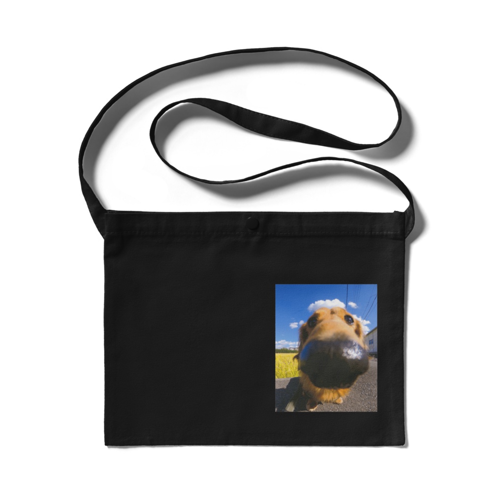 HANADEKAKEN・RAIKUN