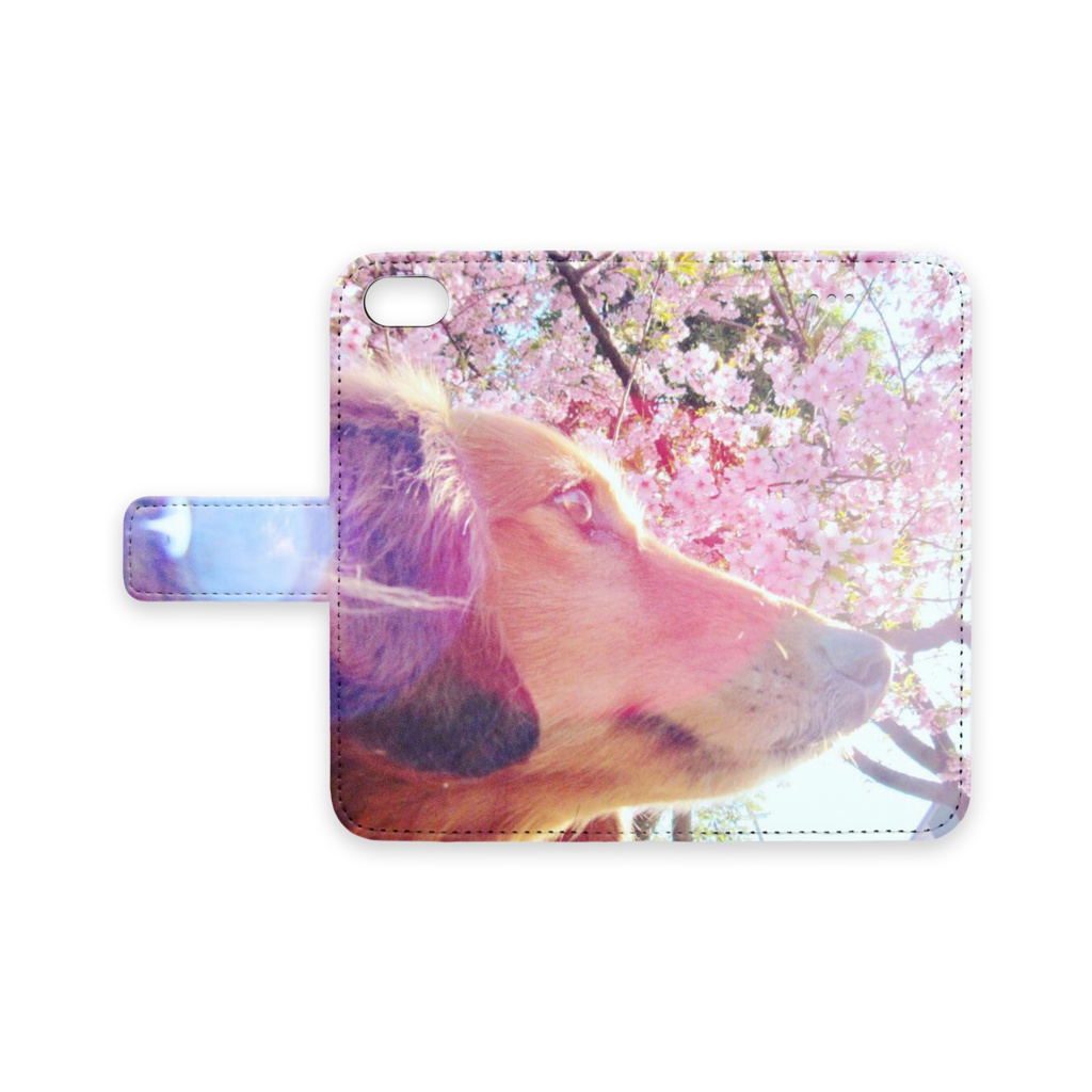 HANADEKAKEN･RAIKUN･桜