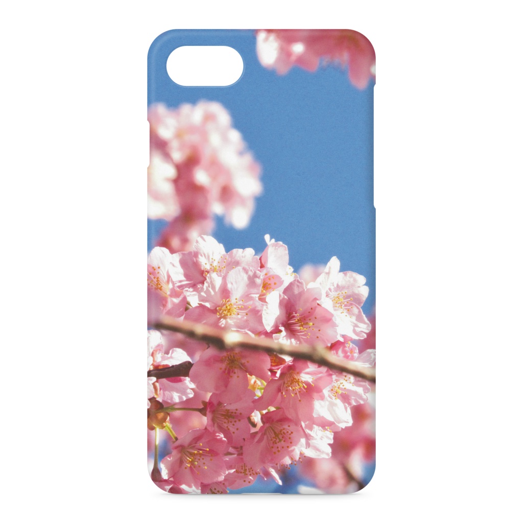 河津桜