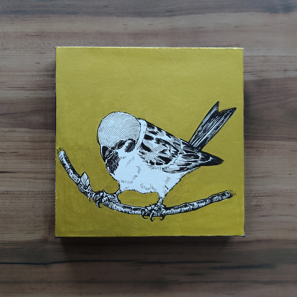【ドローイング原画】野鳥（スズメ）
