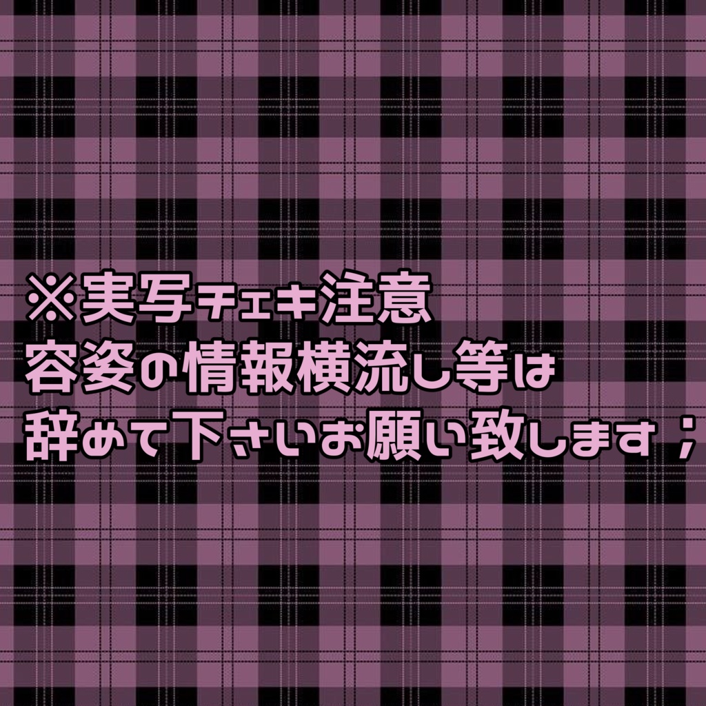 クリスマスチェキ（実写）