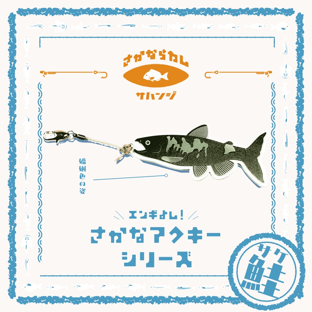 【婚姻色の姿】鮭 サケ　アクキー