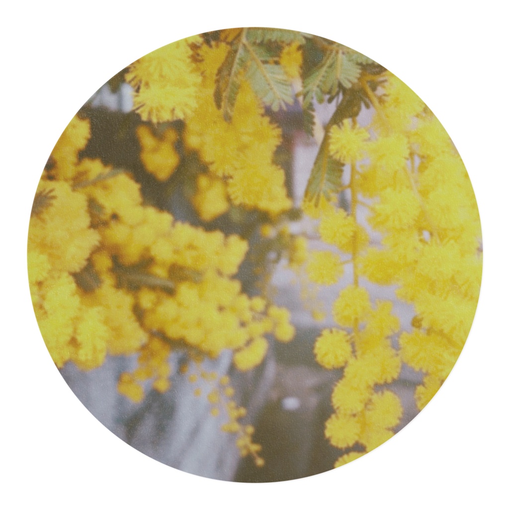 ミモザ マスキングテープ