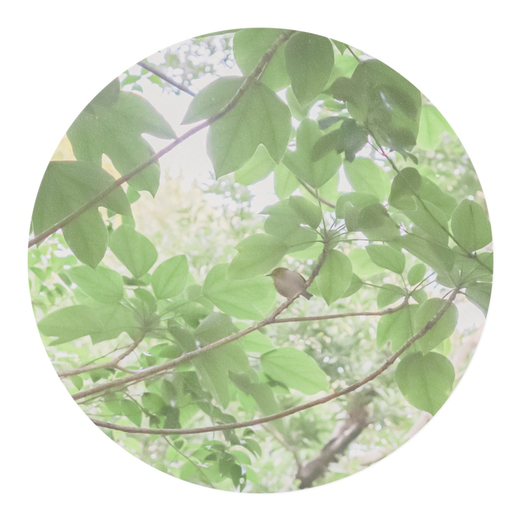 メジロさんマスキングテープ