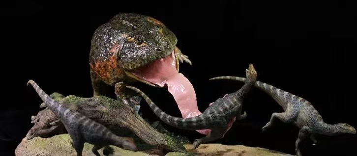 ベールゼブフォ（Beelzebufo） マシアカサウルス（Masiakasaurus）