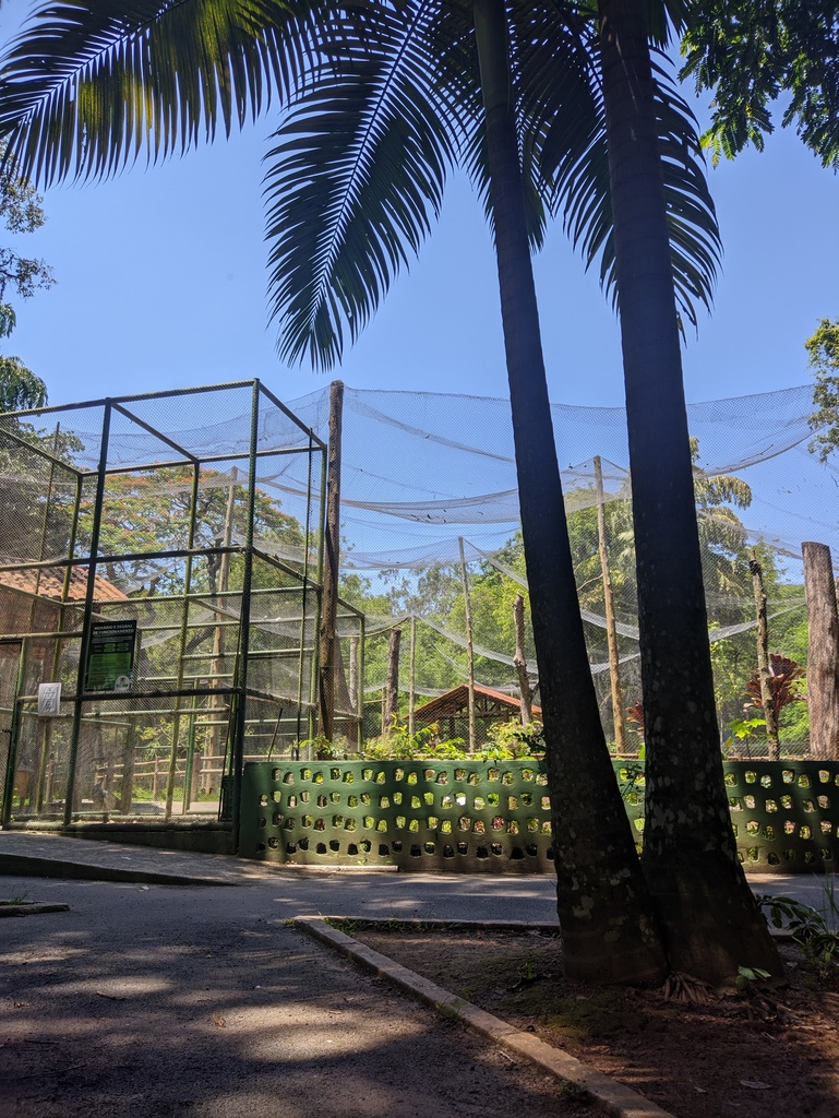 paisagem BRASIL