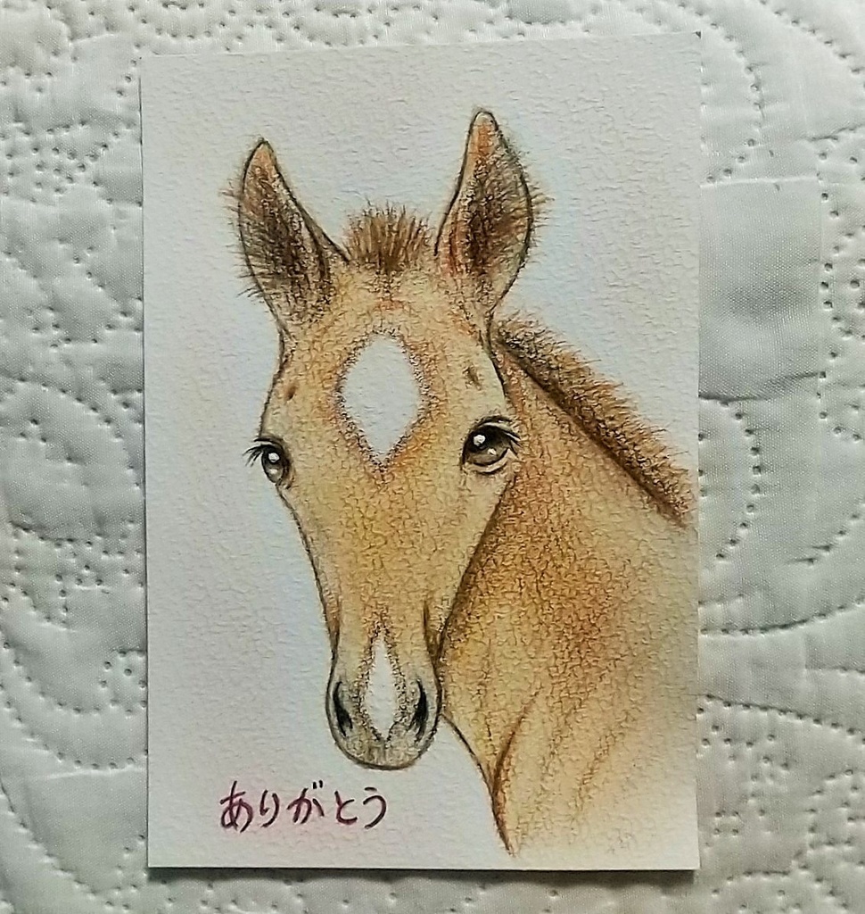 ありがとう