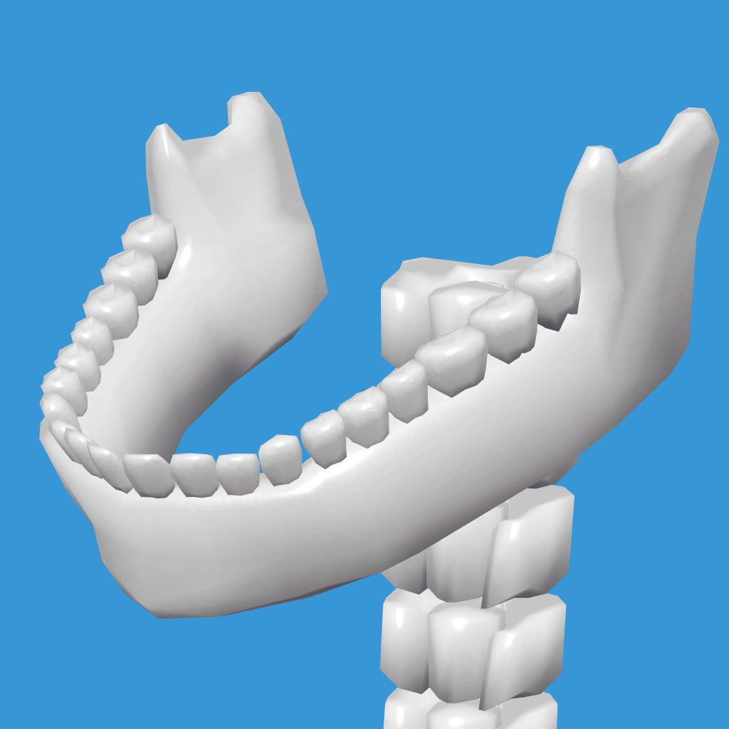 Body Torso【VRChat想定】