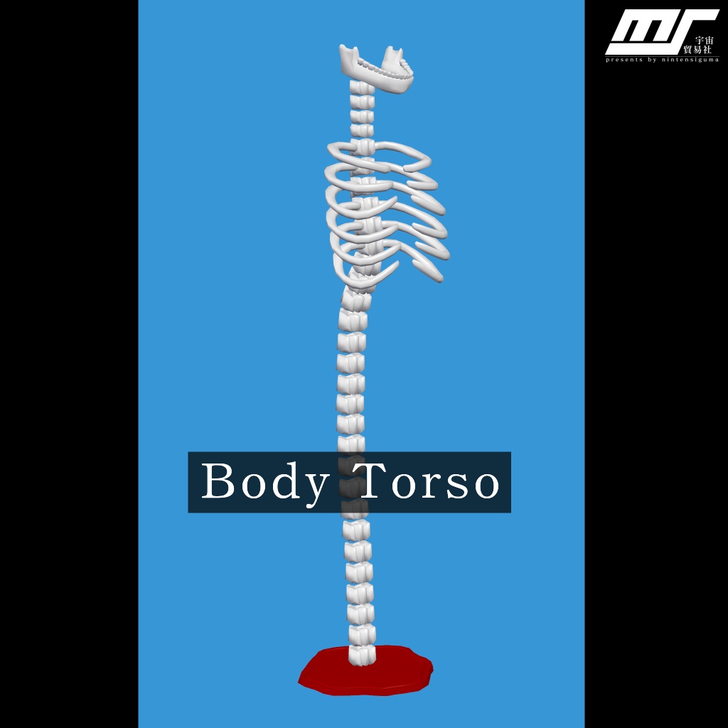 Body Torso【VRChat想定】
