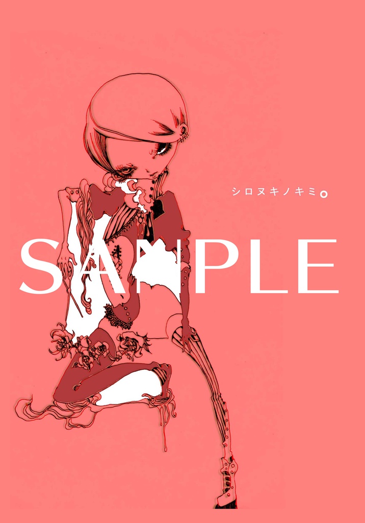 ◎イラスト集◎再販