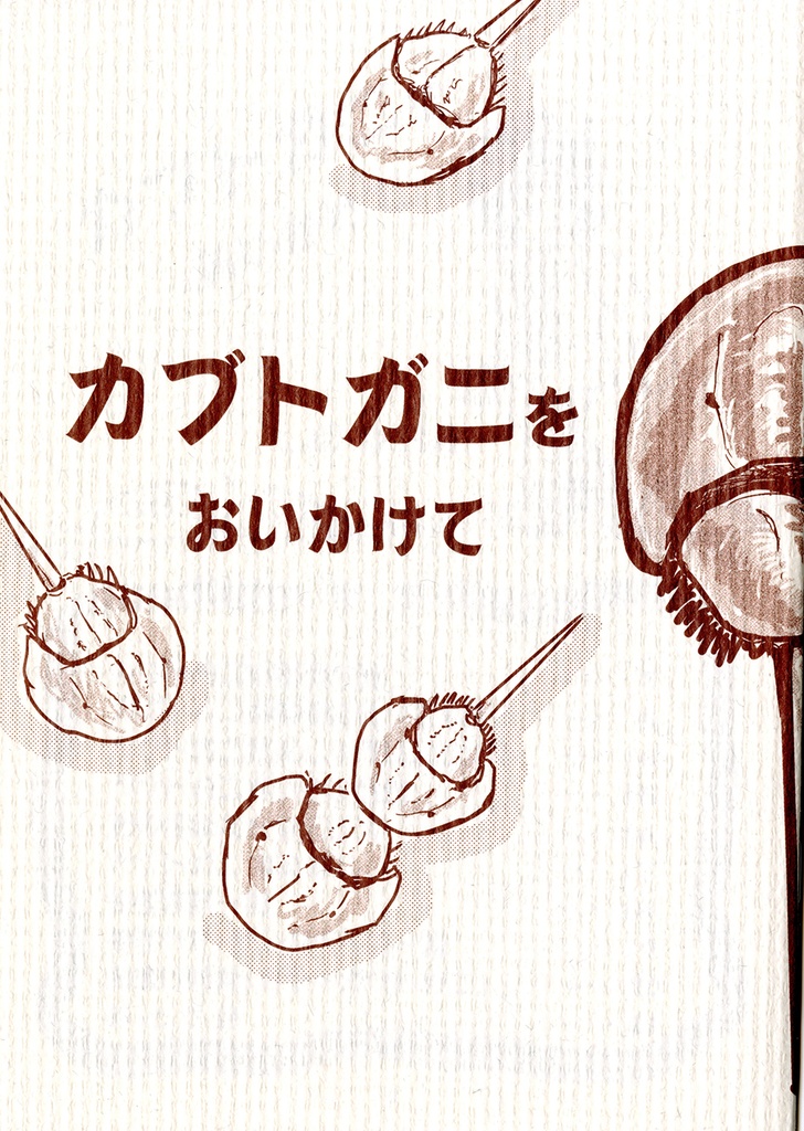 「カブトガニをおいかけて」