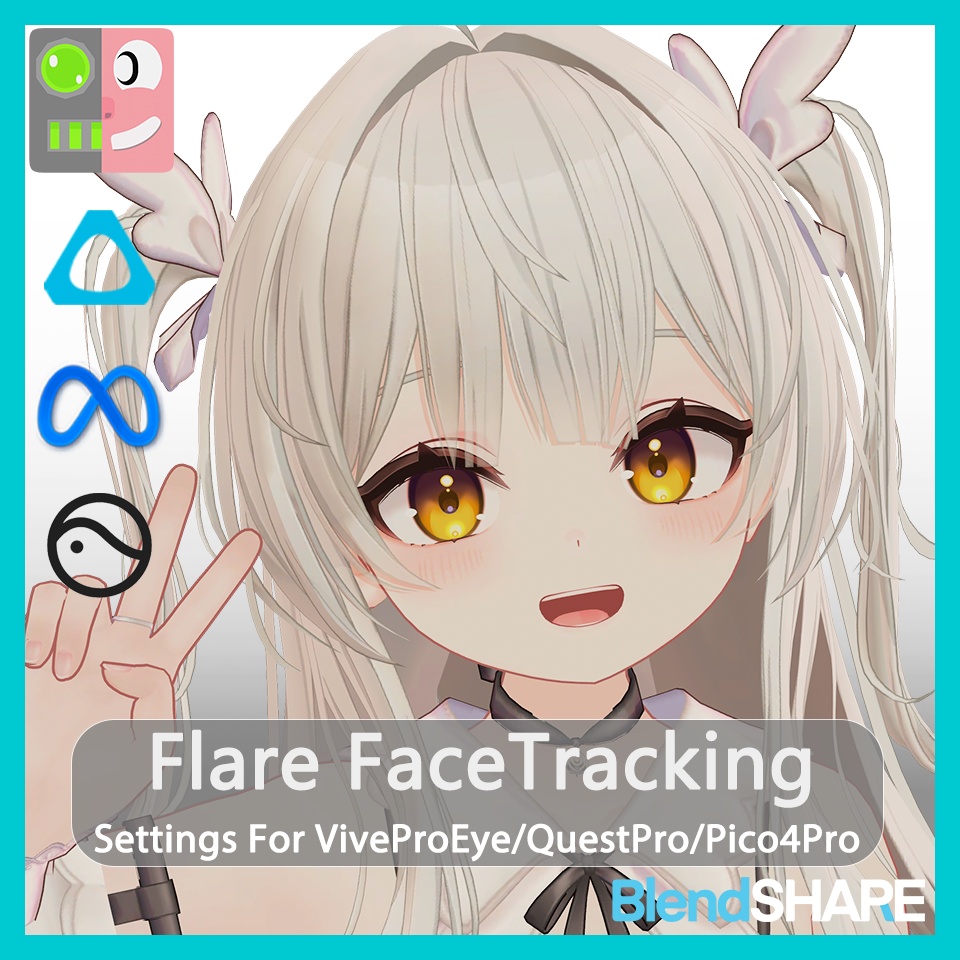 Flare( フレア) Face Tracking Settings