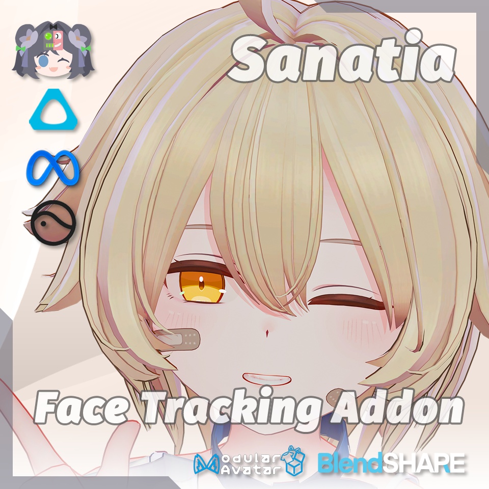Sanatia(サナティア) Face Tracking Addon