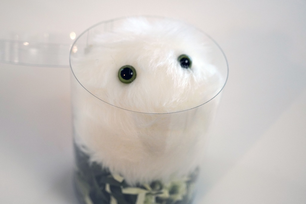 【送料込み】ケサランパサランぬいぐるみ(ふわふわ・苔色の瞳)