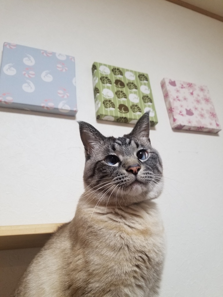 猫生地のファブリックパネル（大）