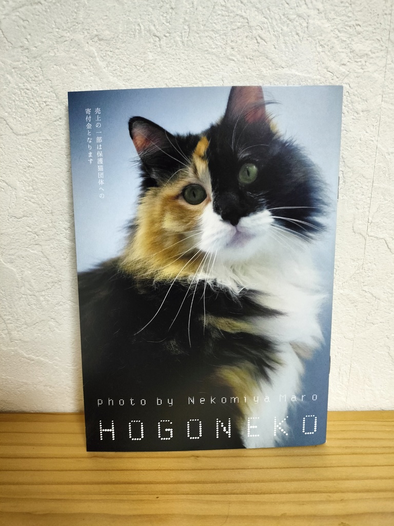 寄付金つき保護猫写真集　第一弾