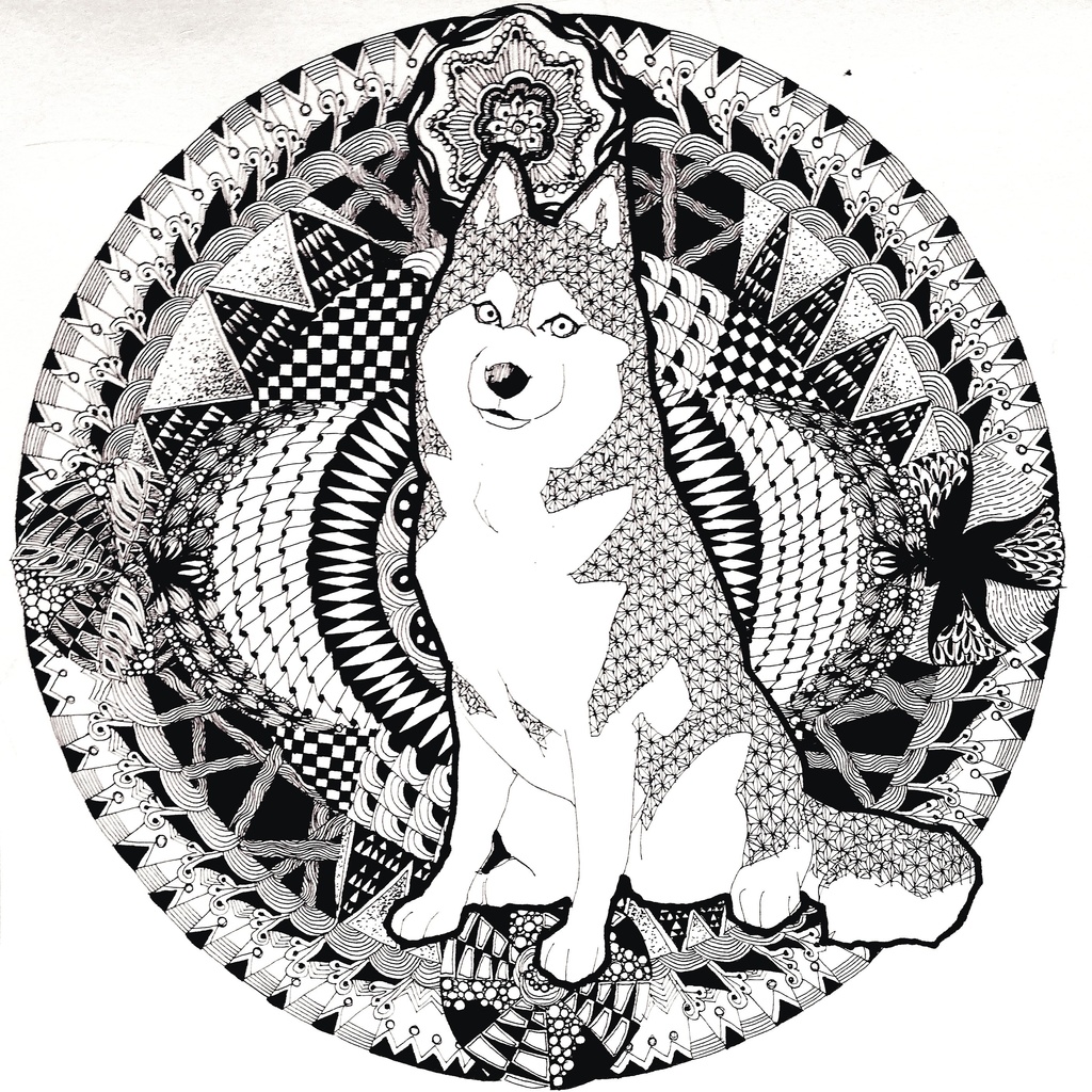 シベリアンハスキーFS