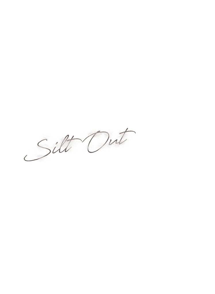 Silt Out