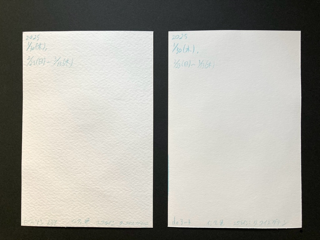 【ポストカード】単色ドローイング 原画 【カラーインク ターコイズ】