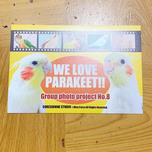 PS-02 WE LOVE PARAKEET!!　NO.8 ハガキセット