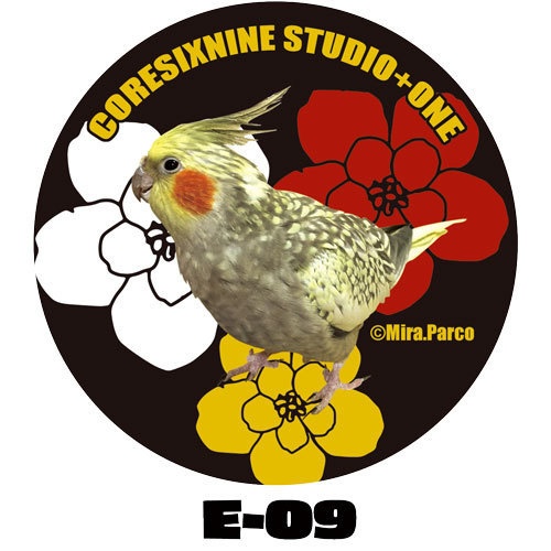 E-09~11 オカメインコ黒花ミラー