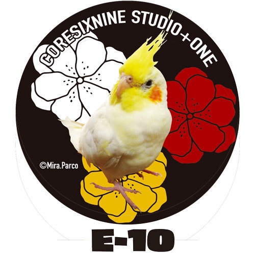 E-09~11 オカメインコ黒花ミラー