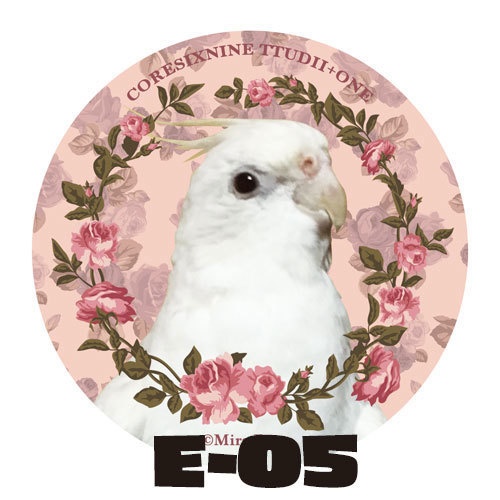 E-04~06 オカメインコ花柄ミラー