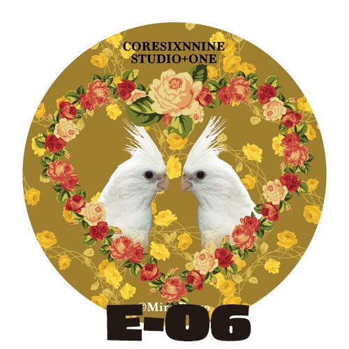 E-04~06 オカメインコ花柄ミラー